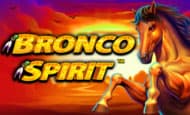 Bronco Spirit
